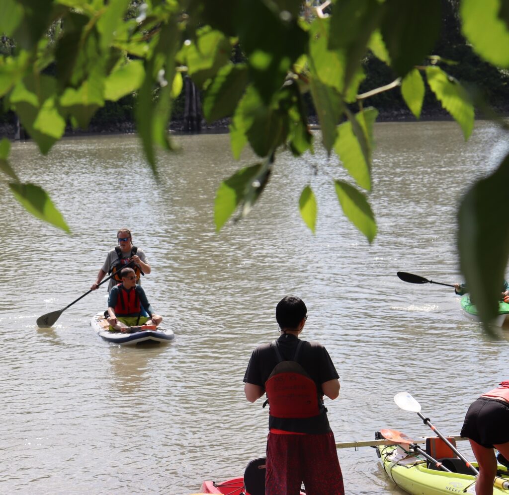 Nice scenic image of people on Paddleboards in the river in Richmond.